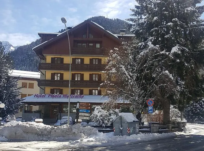 Hotel Pineta