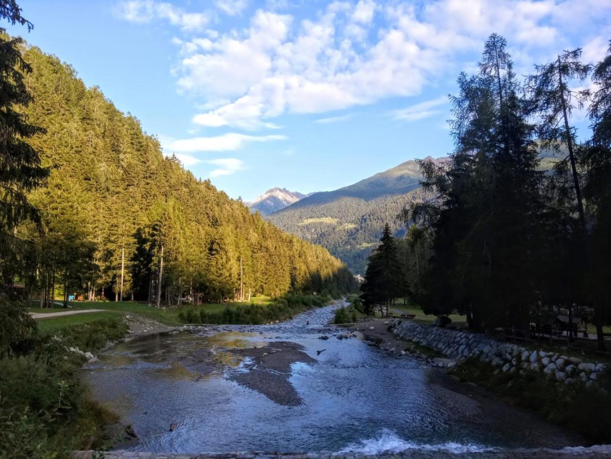 Pineta Hotel