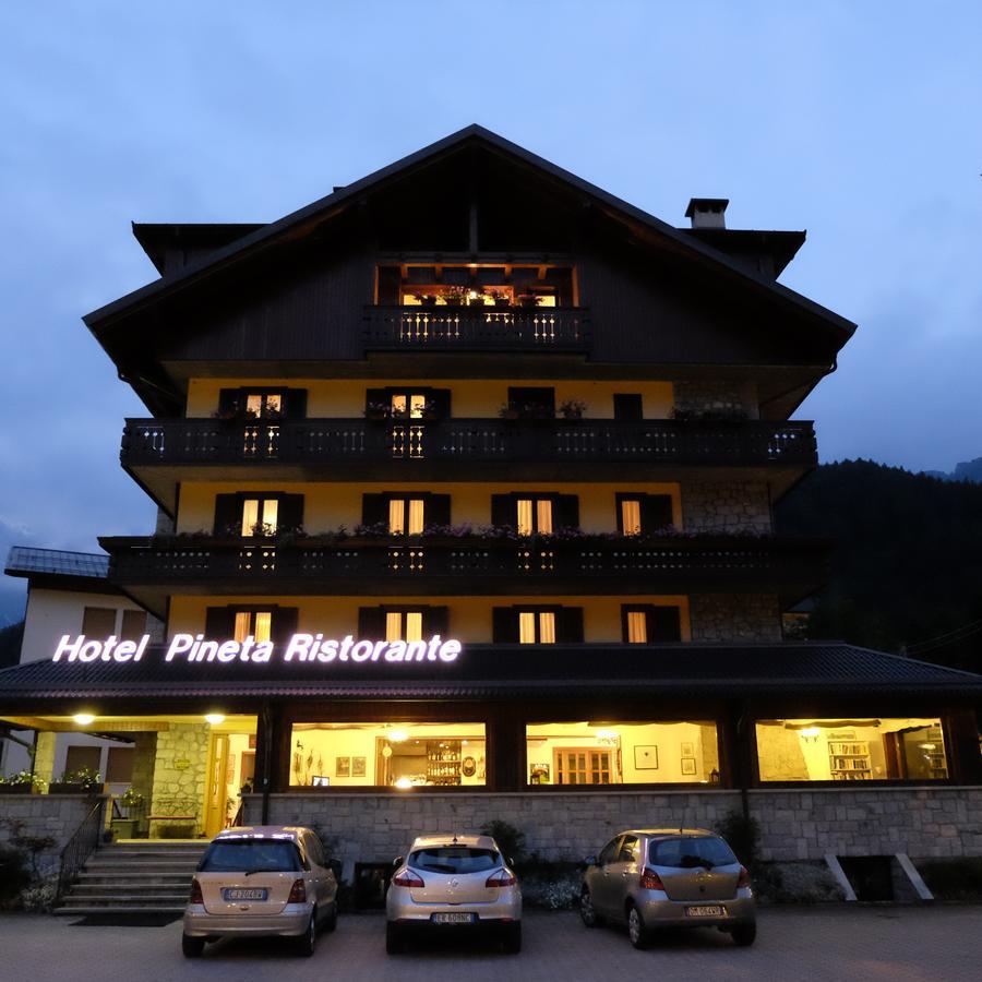 Pineta Hotel 3*