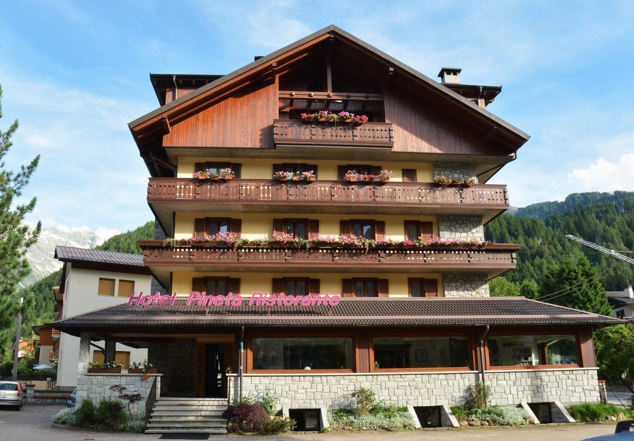 Pineta Hotel 3*