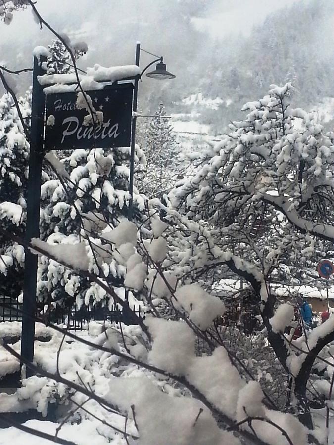 Hotel Pineta 3*