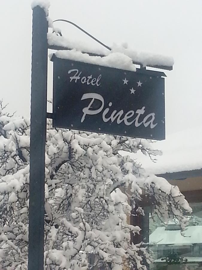 Hotel Pineta 3*