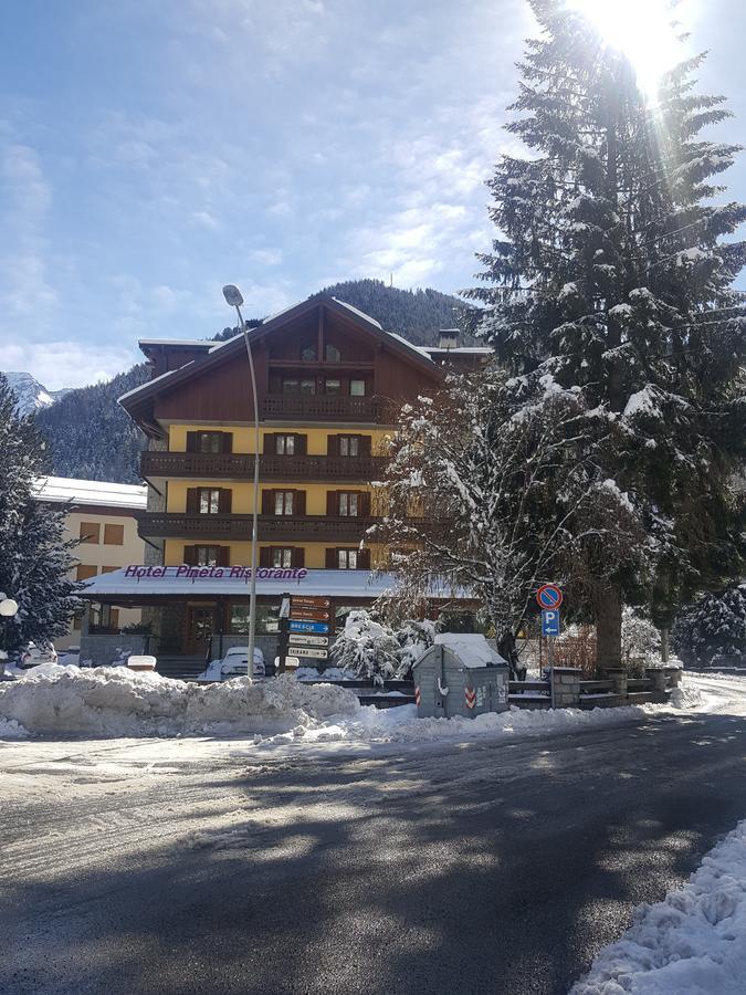 Pineta Hotel 3*